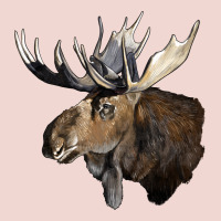 Moose Buck Deer Head Premium Sweatshirt | Teevron