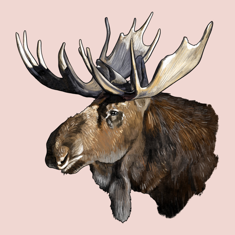 Moose Buck Deer Head Premium Sweatshirt by LillyAllenDesigns | Teevron