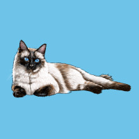 Siamese Premium Sweatshirt | Teevron
