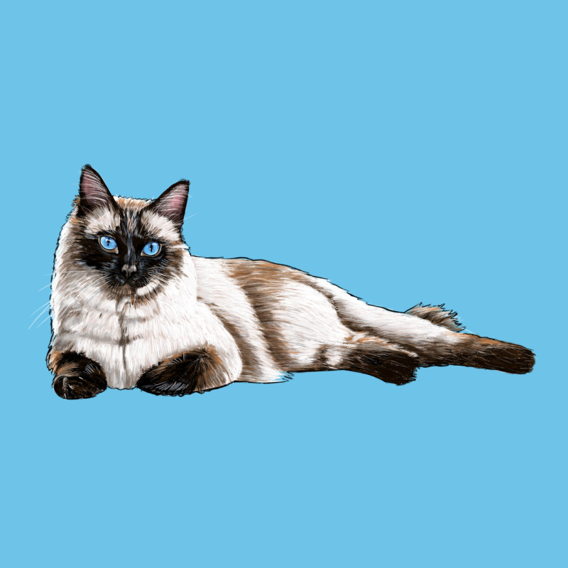 Siamese Premium Sweatshirt by LillyAllenDesigns | Teevron