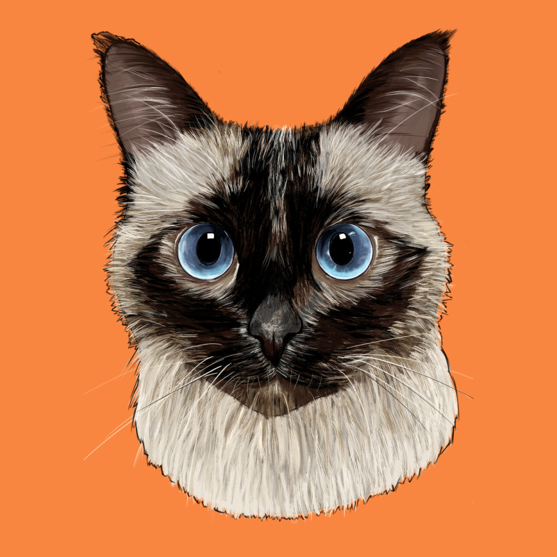 Siamese Face Premium Sweatshirt by LillyAllenDesigns | Teevron