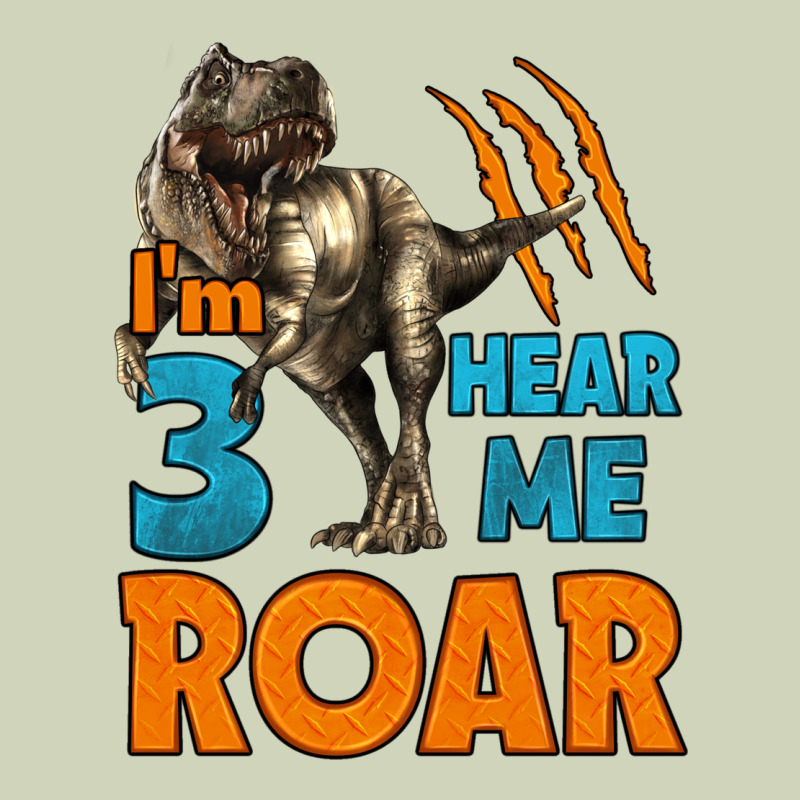 I'm Three Hear Me Roar Dinosaur Birthday Heavyweight Hoodie by LillyAllenDesigns | Teevron