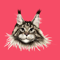 Maine Coon Cat Face Premium Sweatshirt | Teevron