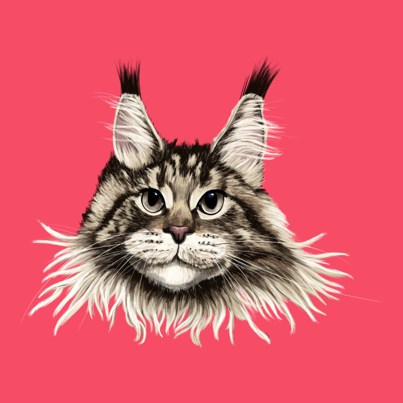 Maine Coon Cat Face Premium Sweatshirt by LillyAllenDesigns | Teevron