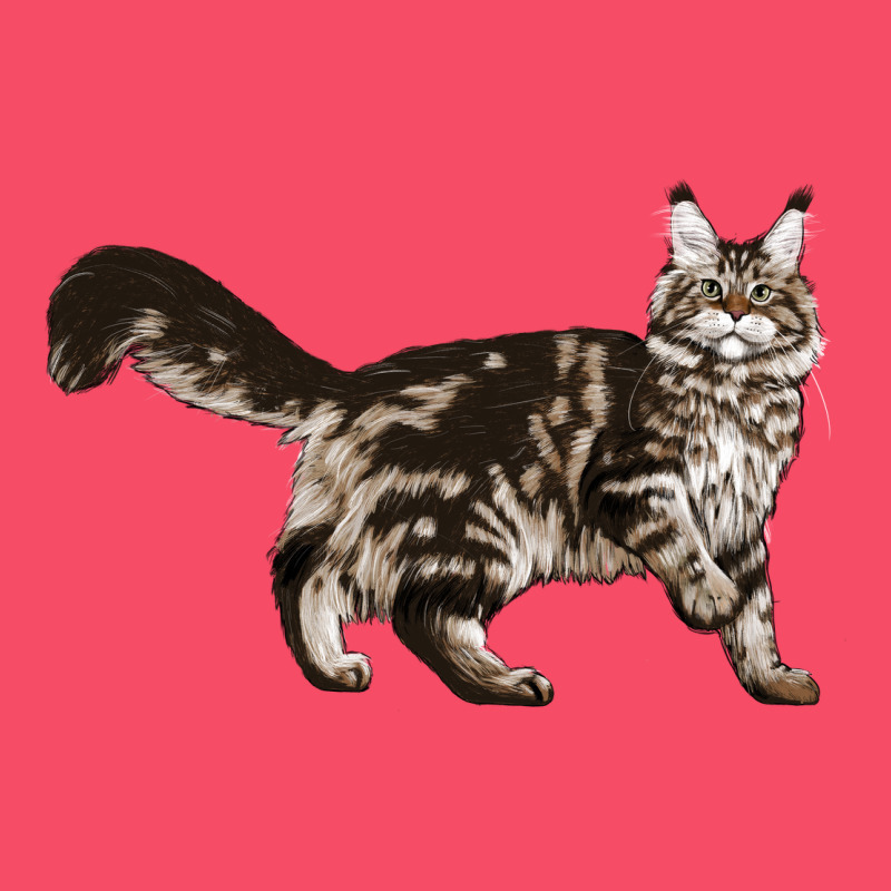 Maine Coon Cat Premium Sweatshirt by LillyAllenDesigns | Teevron