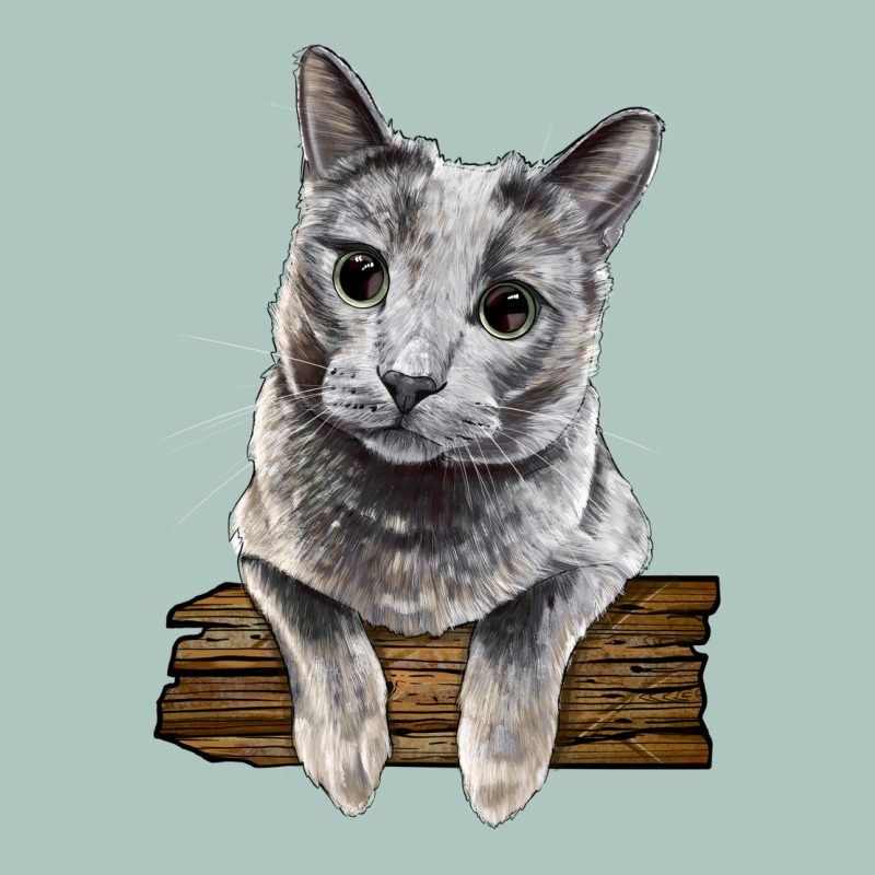 Russian Blue Cat Face Premium Sweatshirt by LillyAllenDesigns | Teevron