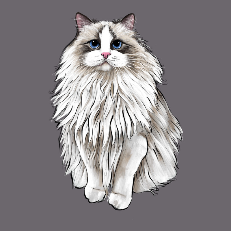 Ragdoll Cat Premium Sweatshirt by LillyAllenDesigns | Teevron