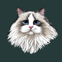 Ragdoll Face Cat Premium Sweatshirt | Teevron