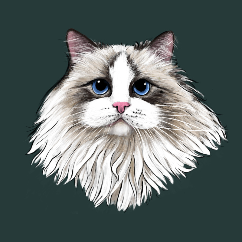 Ragdoll Face Cat Premium Sweatshirt by LillyAllenDesigns | Teevron
