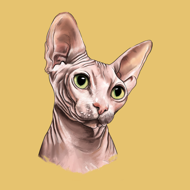 Sphynx Cat Premium Sweatshirt by LillyAllenDesigns | Teevron