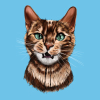 Bengal Cat Face Premium Sweatshirt | Teevron