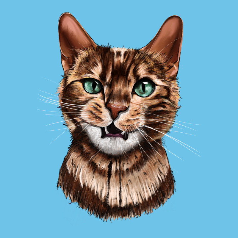 Bengal Cat Face Premium Sweatshirt by LillyAllenDesigns | Teevron