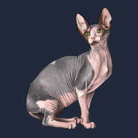 Sphynx Cat Premium Sweatshirt | Teevron