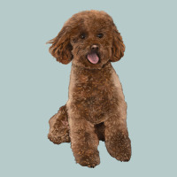 Poodles Dog Lllustrations Heavy Core Tee | Teevron