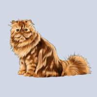 Persian Cat Premium Sweatshirt | Teevron