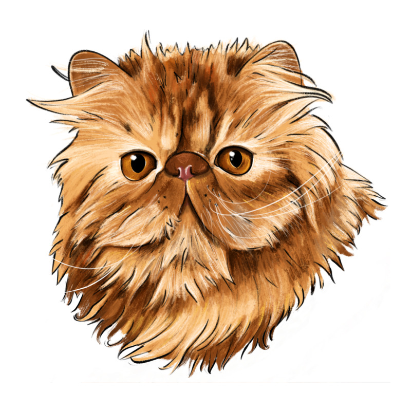 Persian Cat Face Premium Sweatshirt by LillyAllenDesigns | Teevron