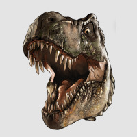 Tyrannosaurus T Rex Face Premium Sweatshirt | Teevron