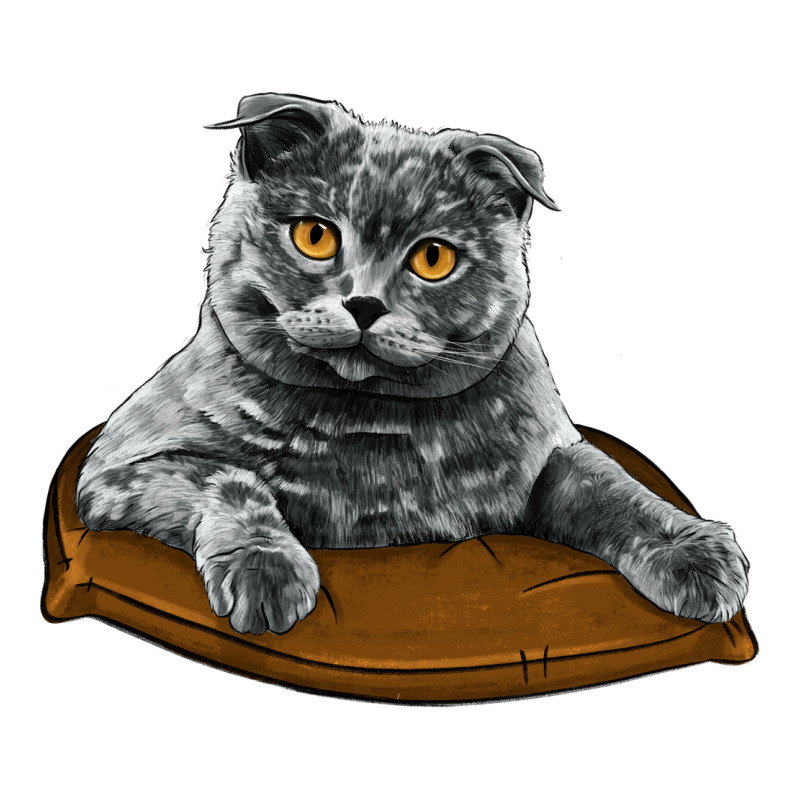 Scottish Fold Premium Sweatshirt by LillyAllenDesigns | Teevron