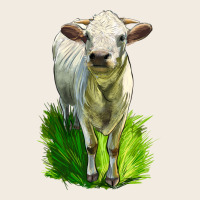 Charolais Heifer Premium Sweatshirt | Teevron
