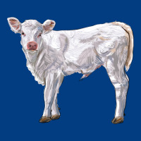 Charolais Calf Premium Sweatshirt | Teevron