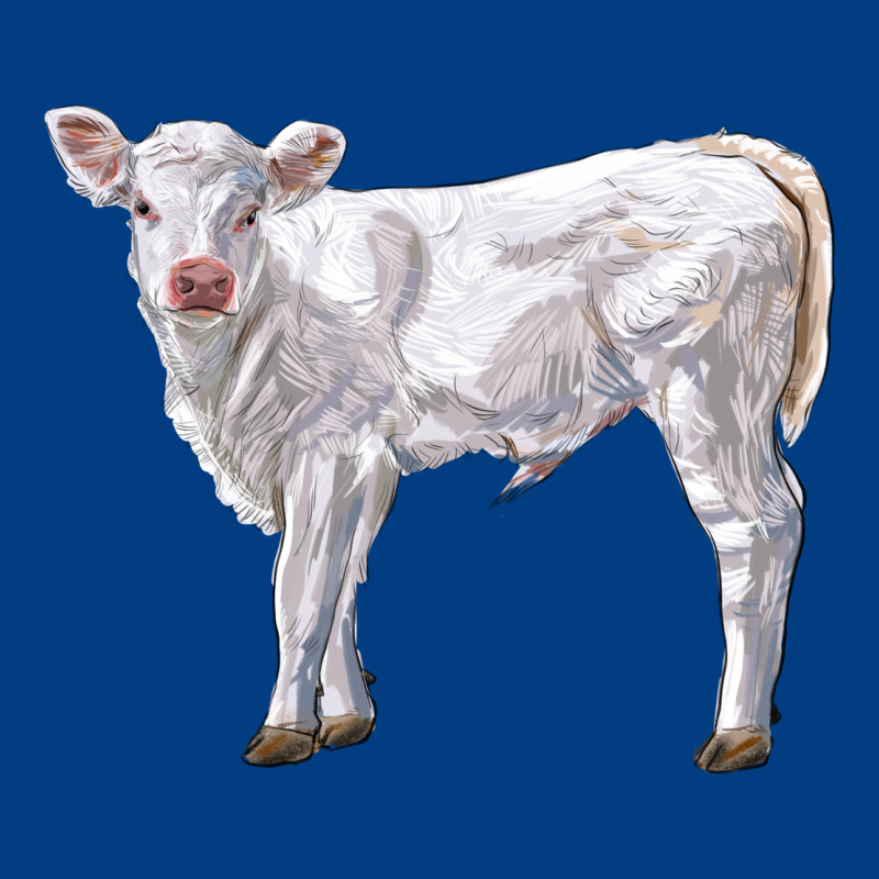 Charolais Calf Premium Sweatshirt by LillyAllenDesigns | Teevron