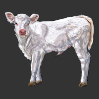 charolais calf | Teevron