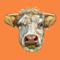 Charolais Bull Face Premium Sweatshirt | Teevron