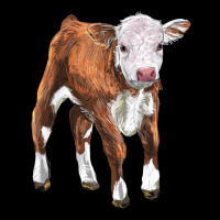 Hereford Calf Premium Sweatshirt | Teevron