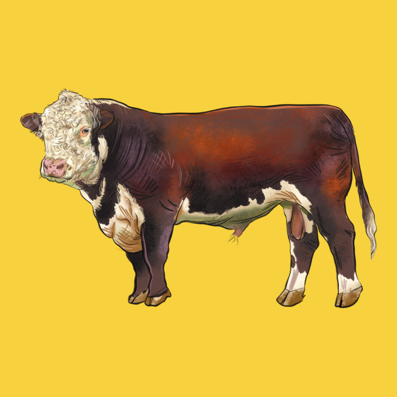 Hereford Bull Premium Sweatshirt by LillyAllenDesigns | Teevron