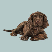 Sussex Spaniels Llustrations Heavy Core Tee | Teevron