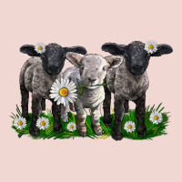 Baby Sheeps With Daisies Premium Sweatshirt | Teevron