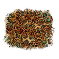 leopard tooled leather turquoise | Teevron