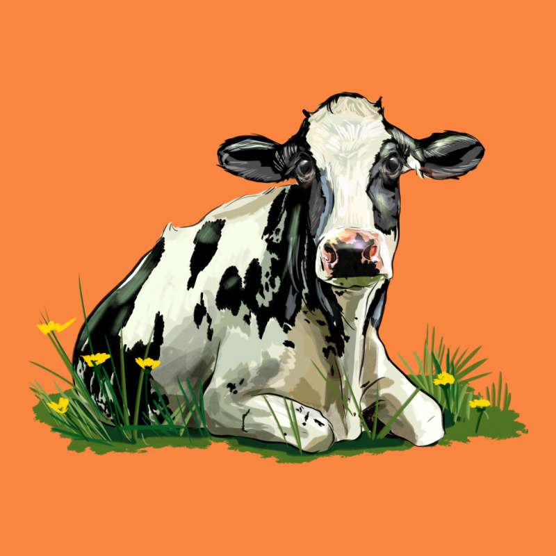 Holstein Cow Sitting Premium Sweatshirt by LillyAllenDesigns | Teevron