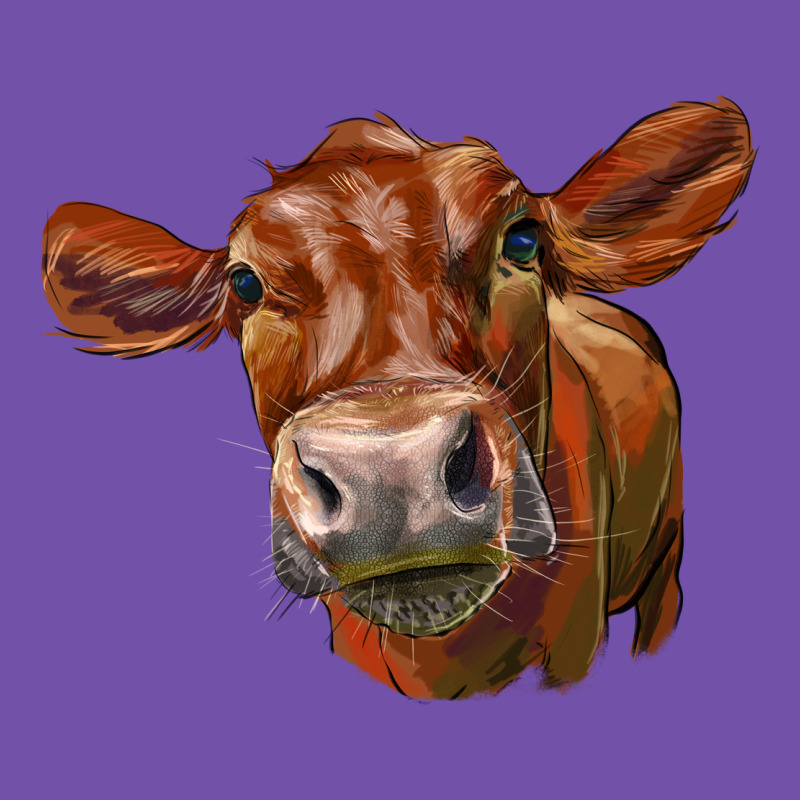Red Angus Face Premium Sweatshirt by LillyAllenDesigns | Teevron