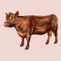 Red Angus Cow Premium Sweatshirt | Teevron