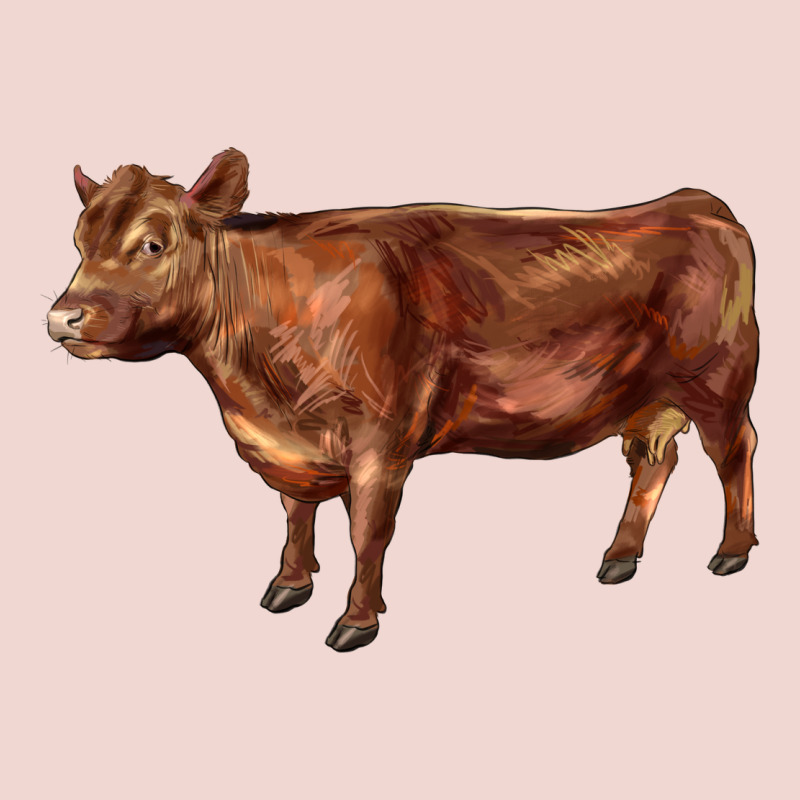 Red Angus Cow Premium Sweatshirt by LillyAllenDesigns | Teevron