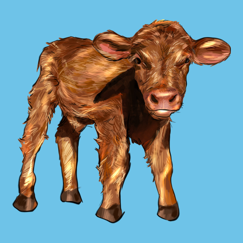 Red Angus Calf Premium Sweatshirt by LillyAllenDesigns | Teevron