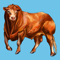 Red Angus Bull Premium Sweatshirt | Teevron