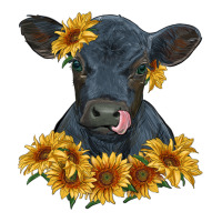 black angus calf with sunflowers | Teevron