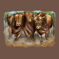 3 Red Angus Bulls Premium Sweatshirt | Teevron