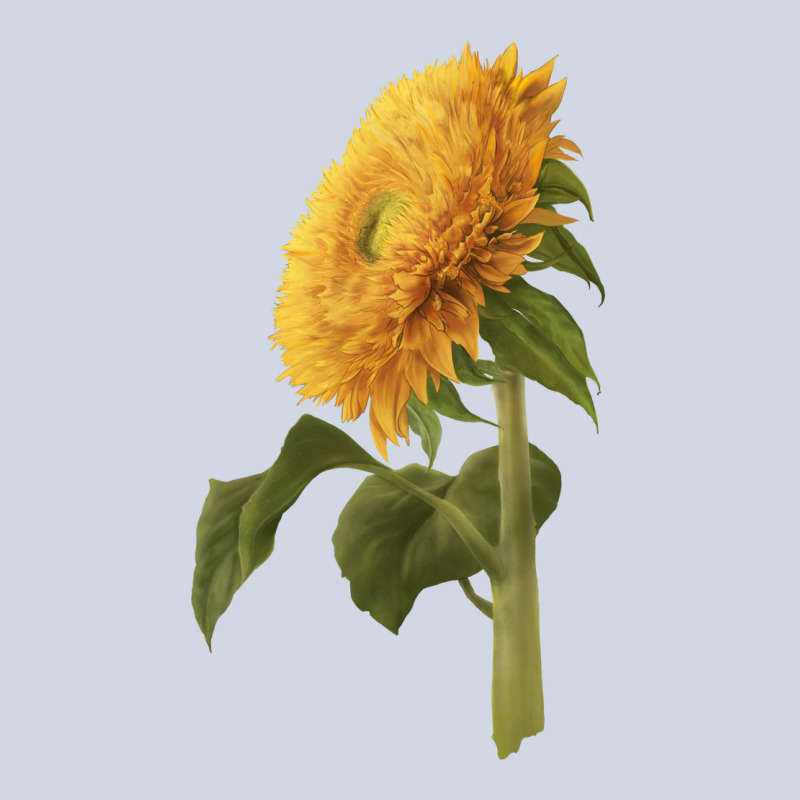 Teddy Bear Sunflower Premium Sweatshirt by LillyAllenDesigns | Teevron