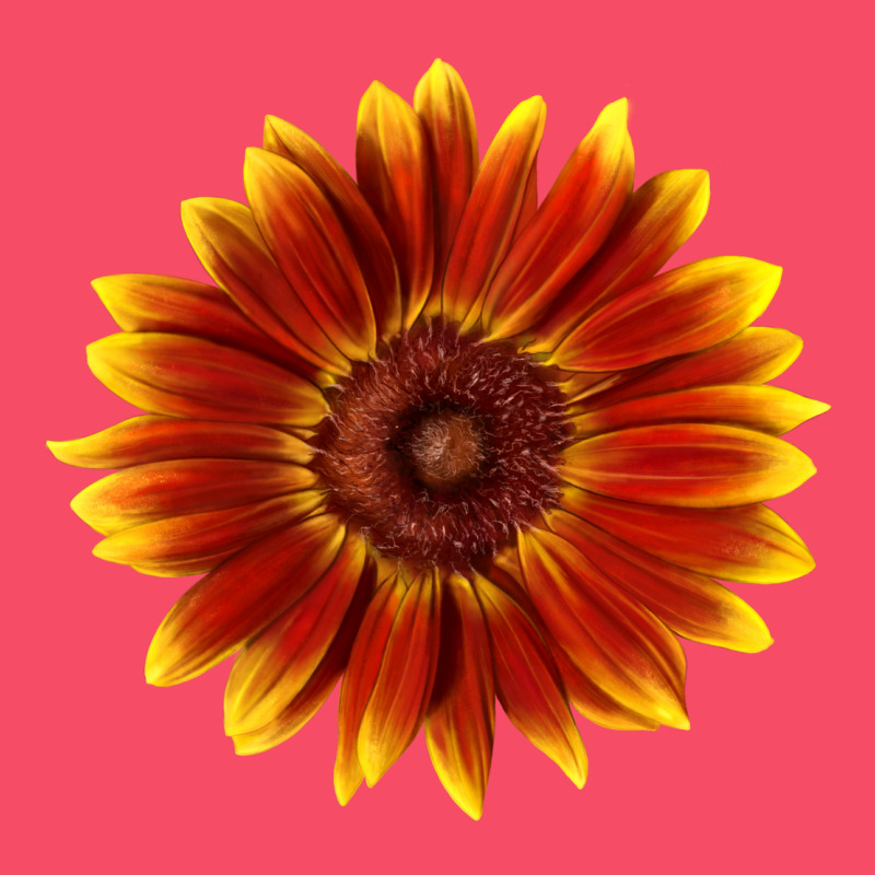 Little Becka Sunflower Premium Sweatshirt by LillyAllenDesigns | Teevron