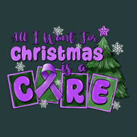 All I Want For Christmas Is A Cure Pancreatic Canc Premium Hoodie | Teevron