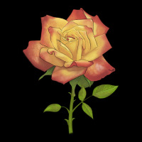Rainbow's End Rose Premium Sweatshirt | Teevron