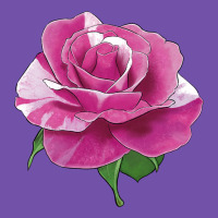 Parade Day Rose Premium Sweatshirt | Teevron