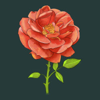 All A Twitter Rose Premium Sweatshirt | Teevron