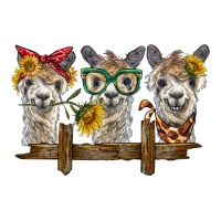3 alpacas | Teevron