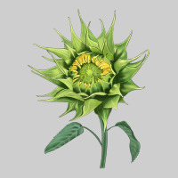 Sun Fill Green Green Sunflower Premium Sweatshirt | Teevron