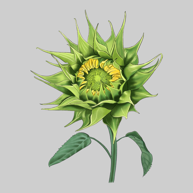 Sun Fill Green Green Sunflower Premium Sweatshirt by LillyAllenDesigns | Teevron