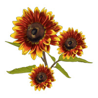ring o fine sunflower | Teevron